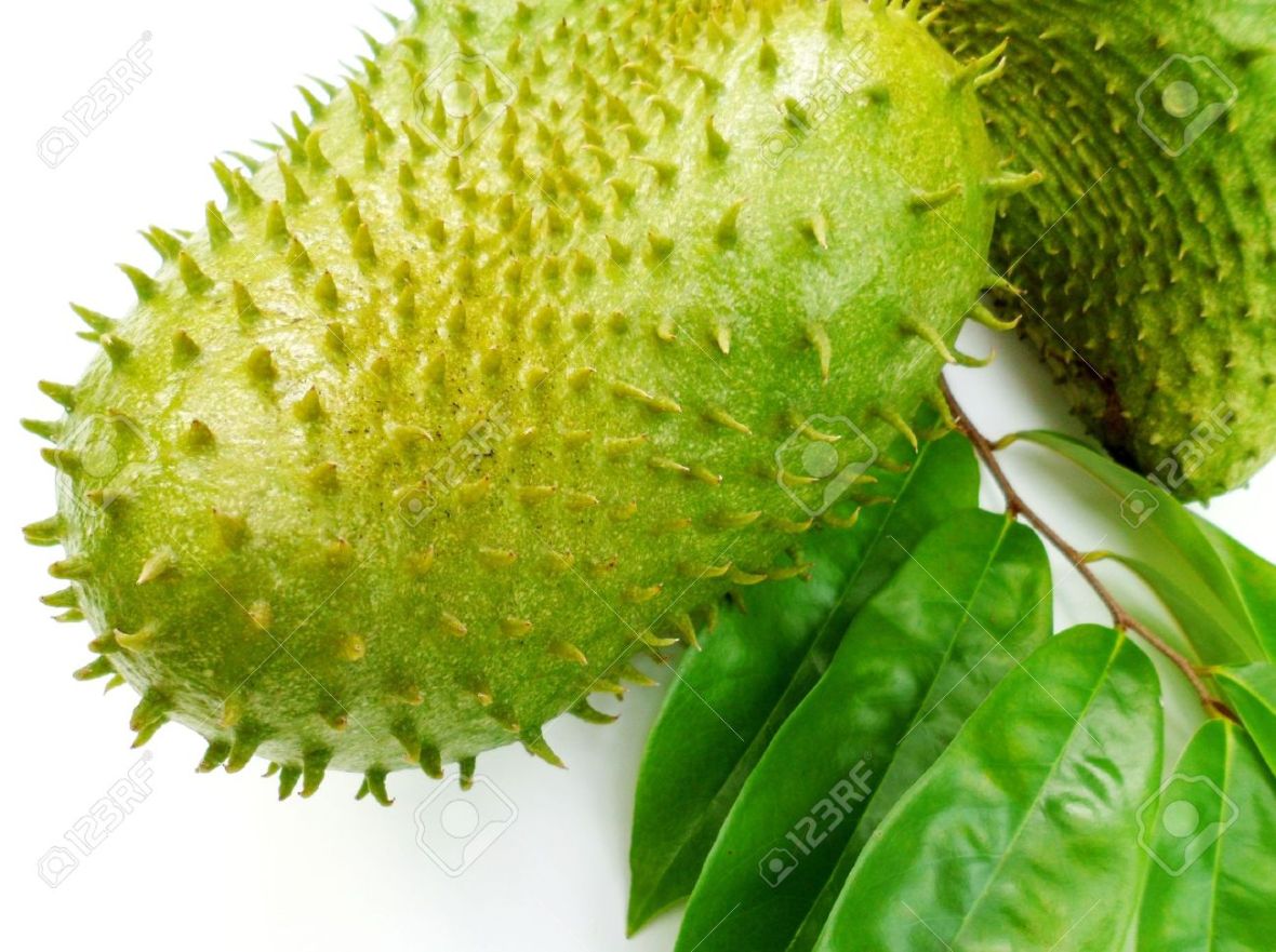 19056461-Two-tropical-soursop-fruits-with-green-leaves-on-white-background-Stock-Photo.jpg